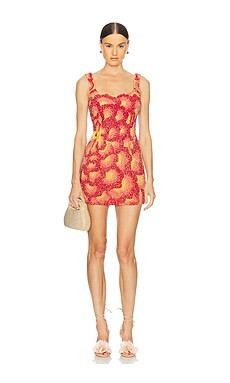 LA FUORI Sunset Rose Dress in Rose Ombre from Revolve.com | Revolve Clothing (Global)