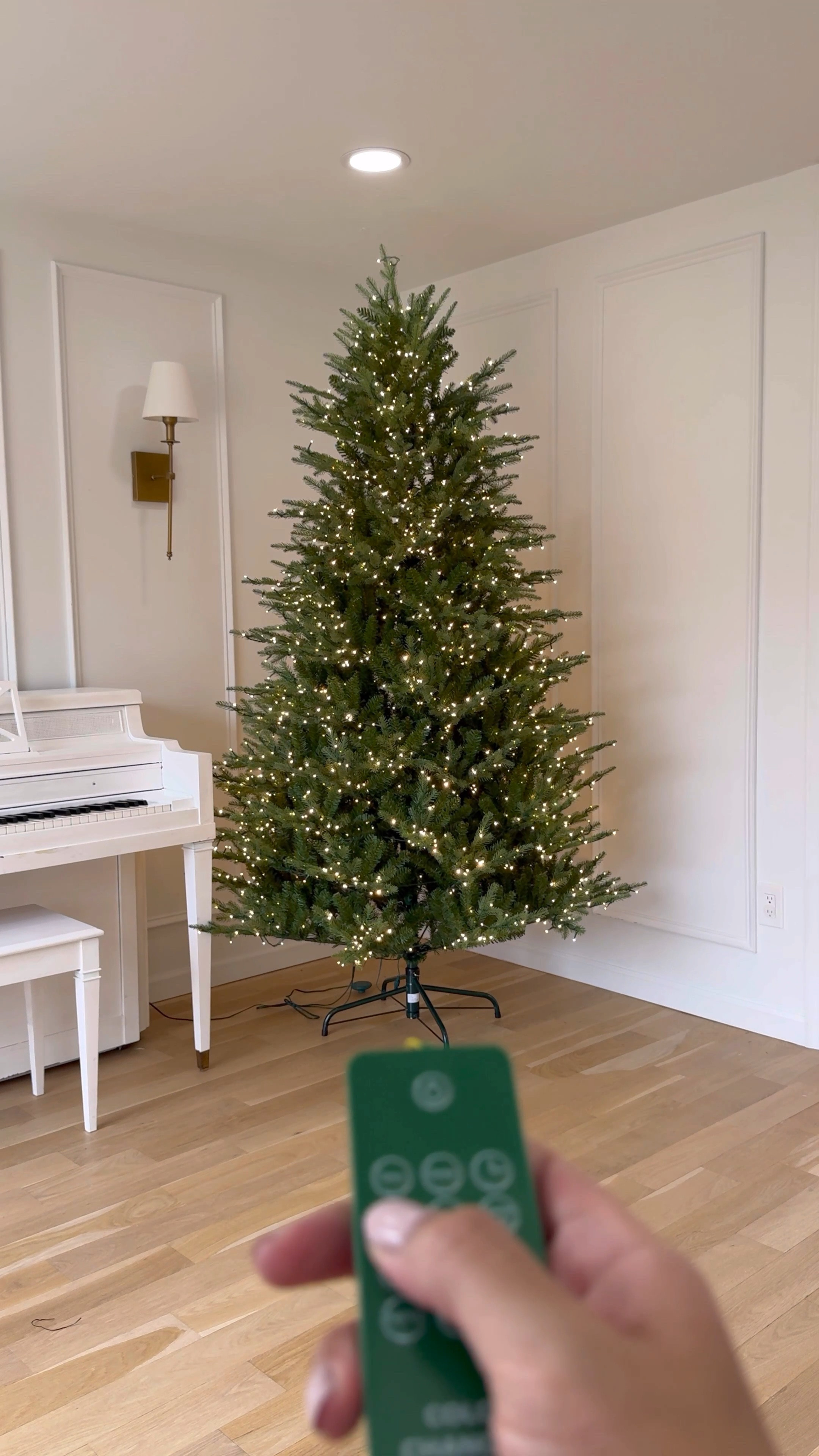 Viral Christmas tree 🎄 from Home Depot #ltkchristmas #christmasdecor #ltkholidays

#LTKHome #LTKHoliday #LTKSeasonal