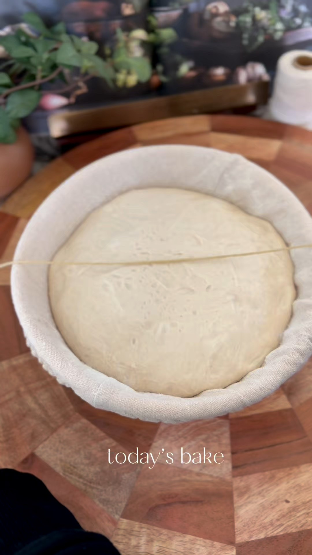 #LTKvlog #LTKHome #LTKdayinmylife