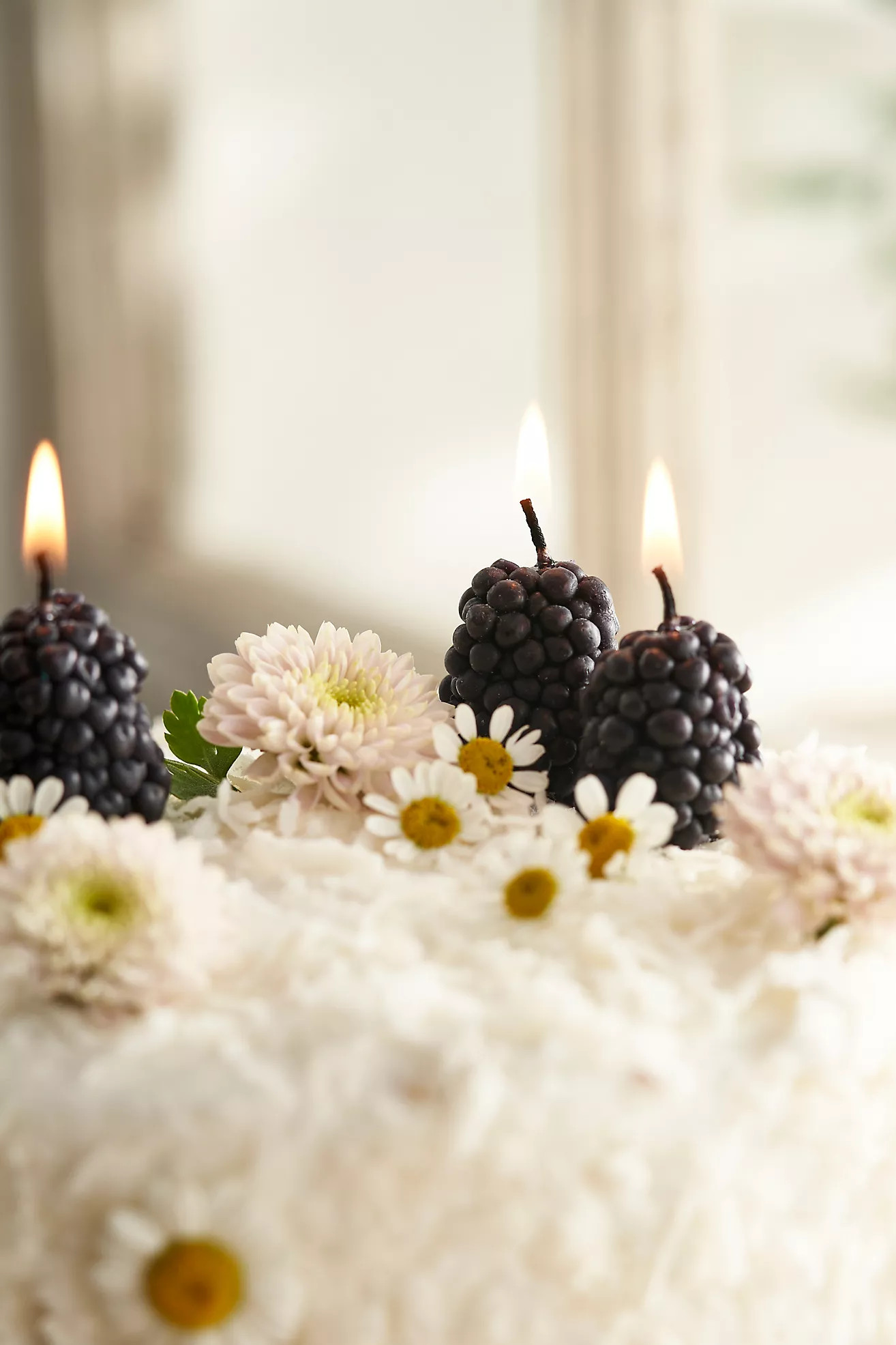 Happy Organics Blackberry Beeswax Candles, Set of 10 | Terrain