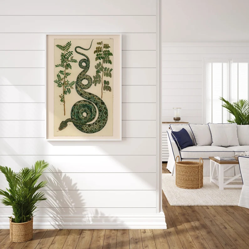 ANTIQUE NATURE PRINT Vintage Serpent Print  Professional | Etsy | Etsy (US)