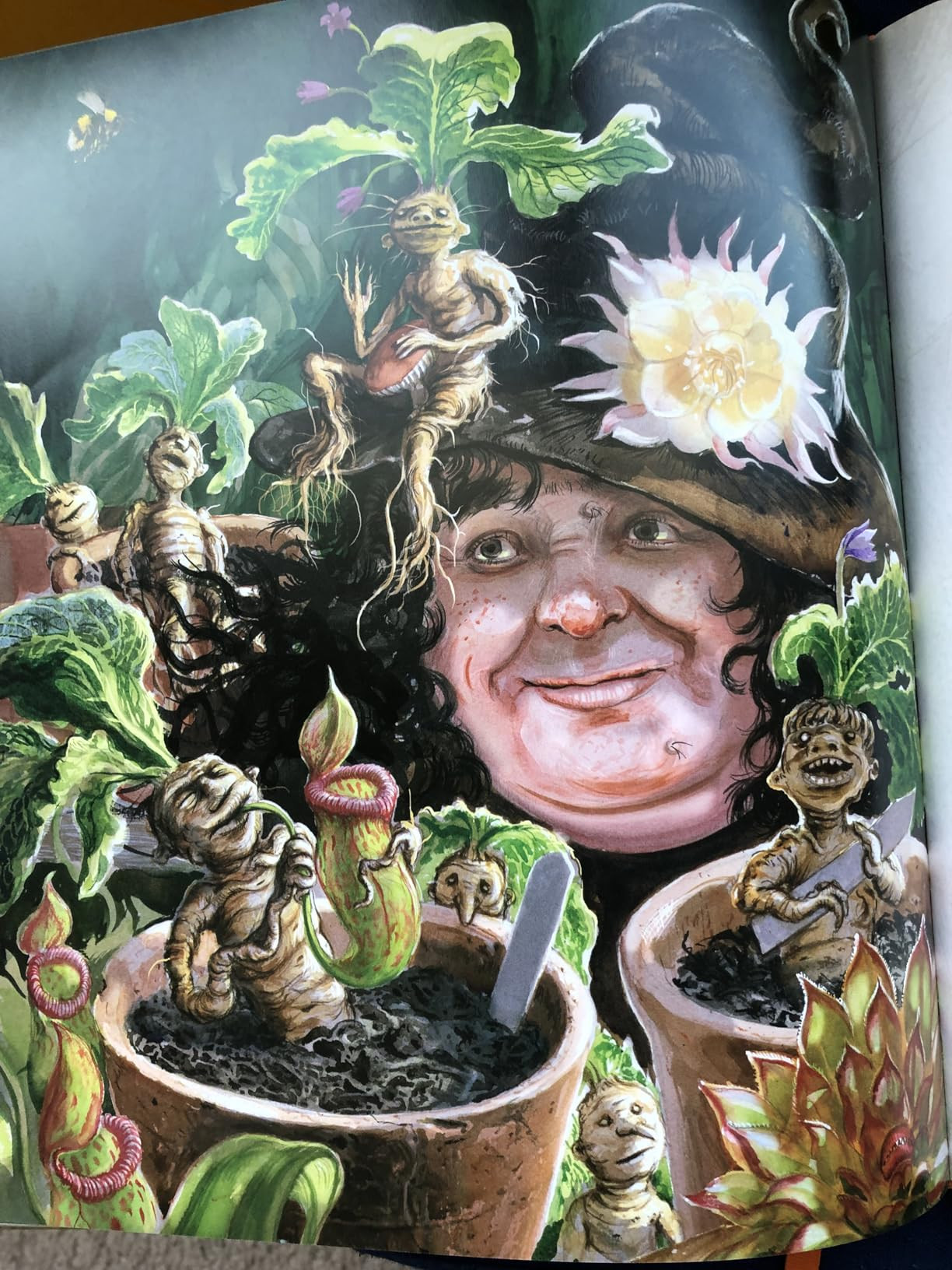 Harry Potter and the Chamber of Secrets: The Illustrated Edition (Harry Potter, Book 2) (2) | Amazon (US)