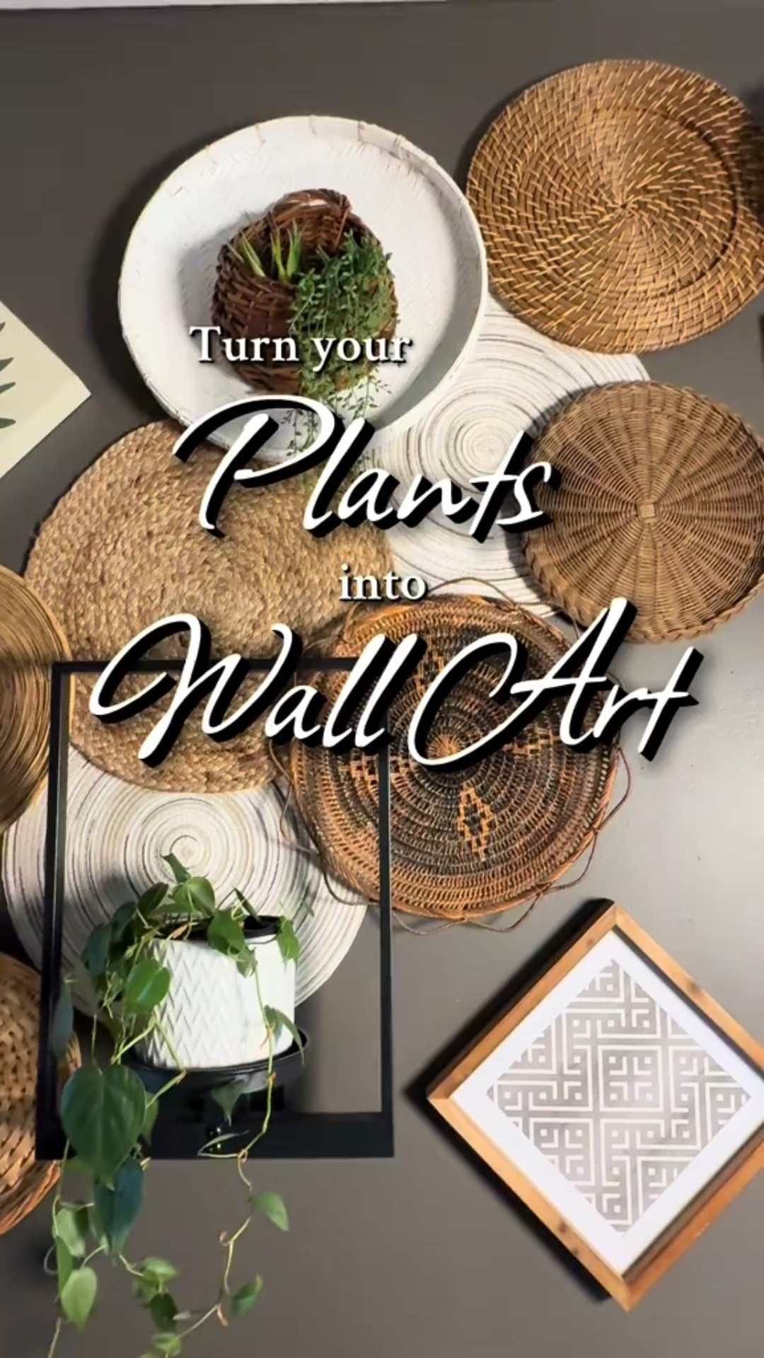 Effortlessly blend your plants with your home decor and make them a focal point with these stunning plant holders. 

#plants #indoorplants #plantlover #walldecor 

#LTKHome #LTKFindsUnder50 #LTKSeasonal