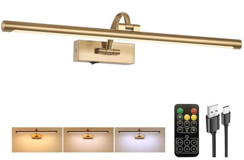 Tassuowell Picture Light Battery Operated with Remote, 3CCT Dimmable Picture Light for Paintings, Brass Rechargeable 24 inch Battery Operated Wall Sconce for Art Lighting Gallery Portrait Artwork | Amazon (US)