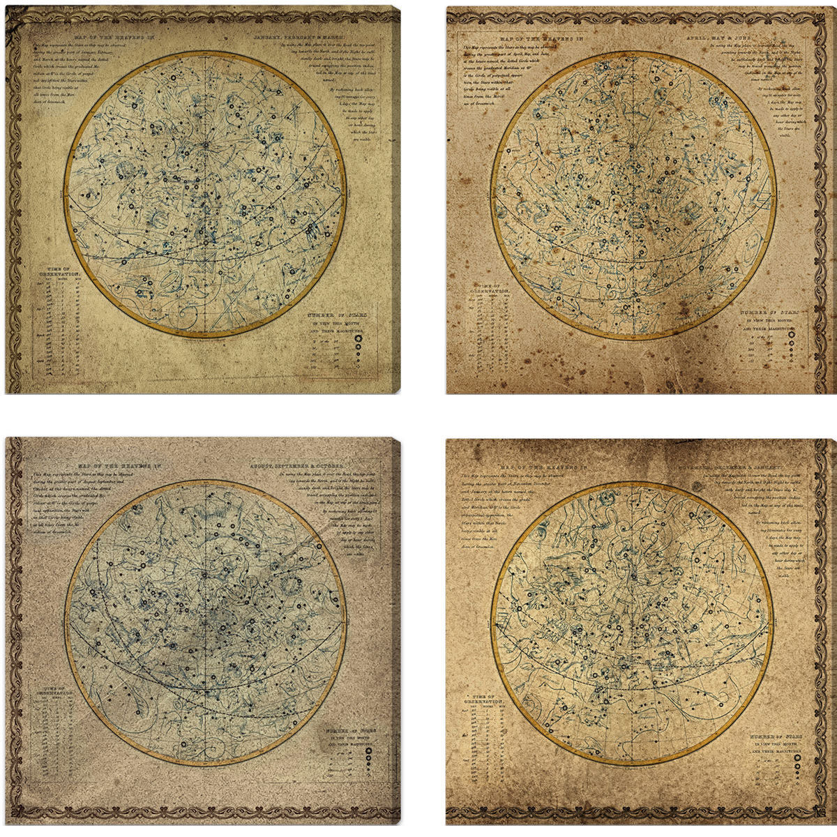 Celestial Map XVI Century II | Oliver Gal