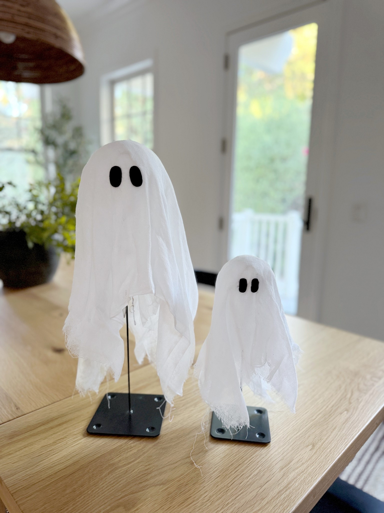 Halloween light up ghosts

#LTKSeasonal #LTKHome