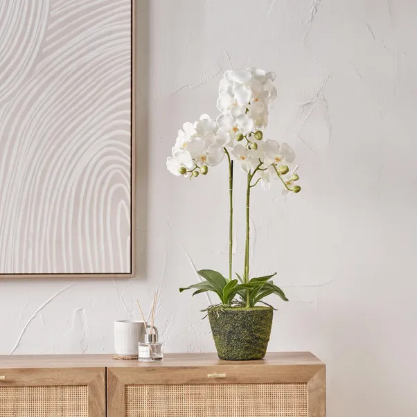 Artificial White Orchid in Moss Plant Pot | Dunelm (migrated)