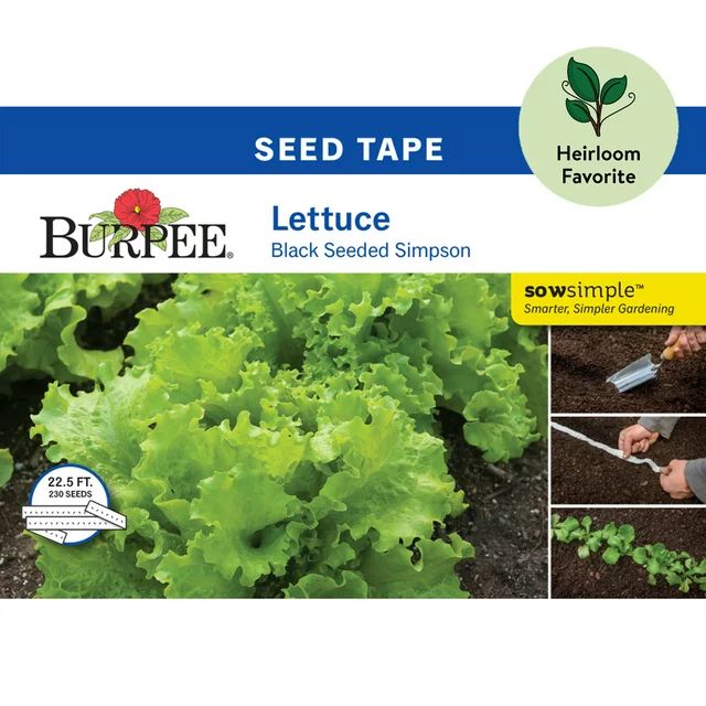Burpee Black Seeded Simpson Lettuce Seed Tape - Non-GMO, Heirloom Vegetable Gardening Seeds, 22.5... | Walmart (US)