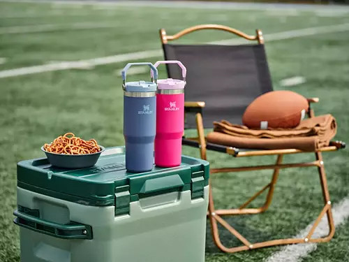Stanley 30 Oz. IceFlow Tumbler with Flip Straw | Dick's Sporting Goods