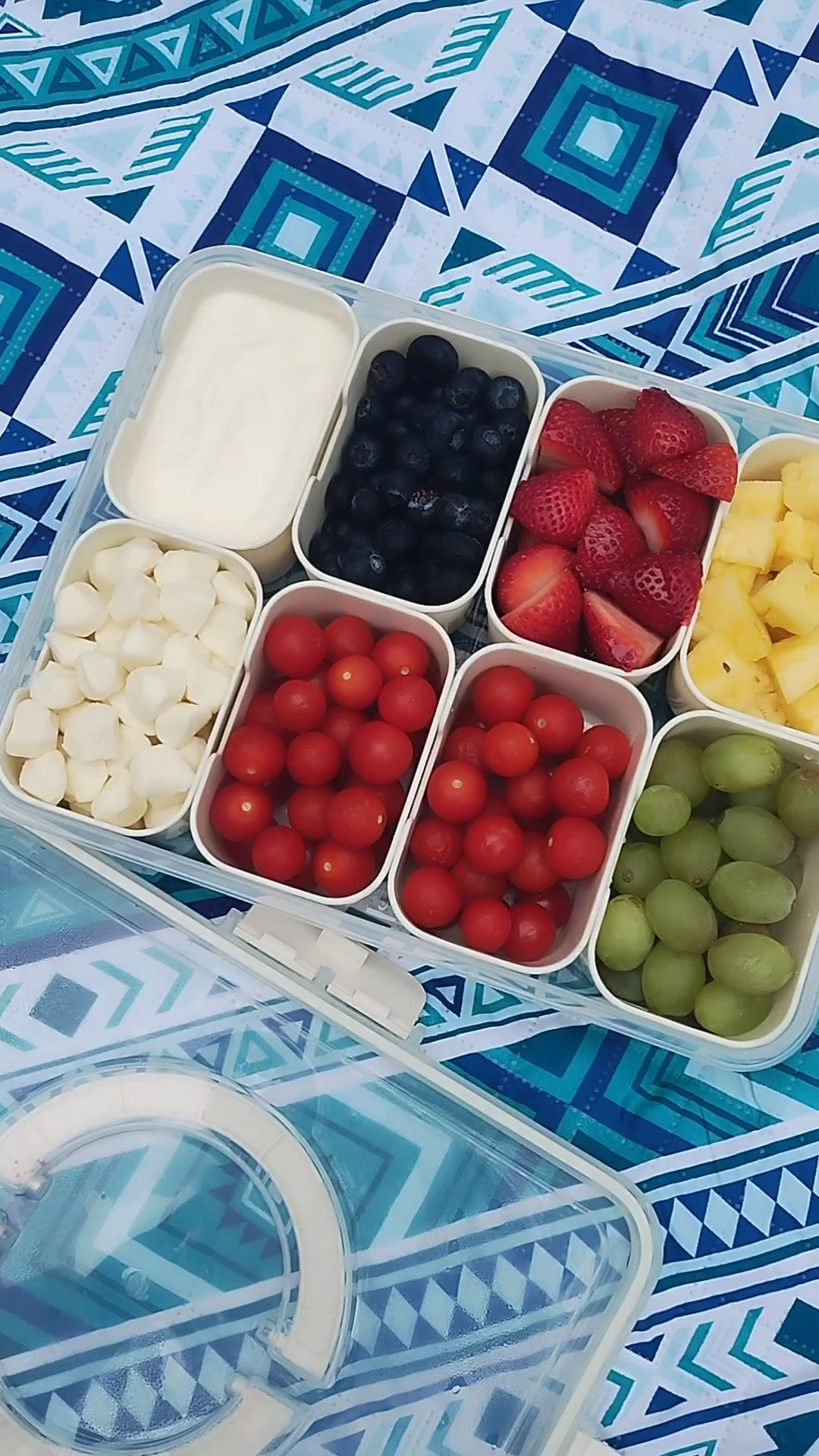 Spring is here and it's picnic season!🧺 I picked up this cute snack box container that's perfect for filling with fruit, veggies, dips, cheese, meats, nuts, candy, etc. It has removable compartments, which makes cleaning easy and more thorough. 

#LTKfoodie #LTKdayinmylife #LTKSeasonal