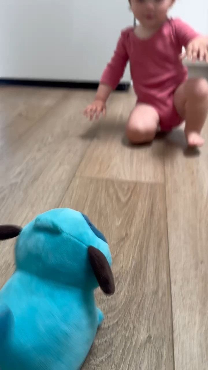 My curious baby, she loves this blue dog from target! It's great for motor skills. 

 

#LTKSeasonal #LTKFindsUnder50 #LTKBaby