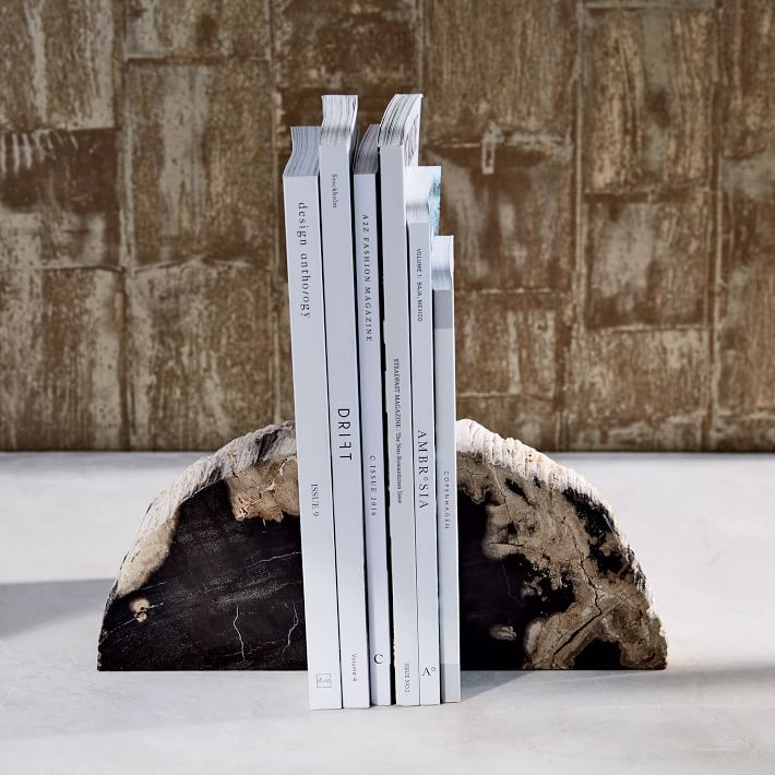 Petrified Wood Bookends (Set of 2) | West Elm (US)