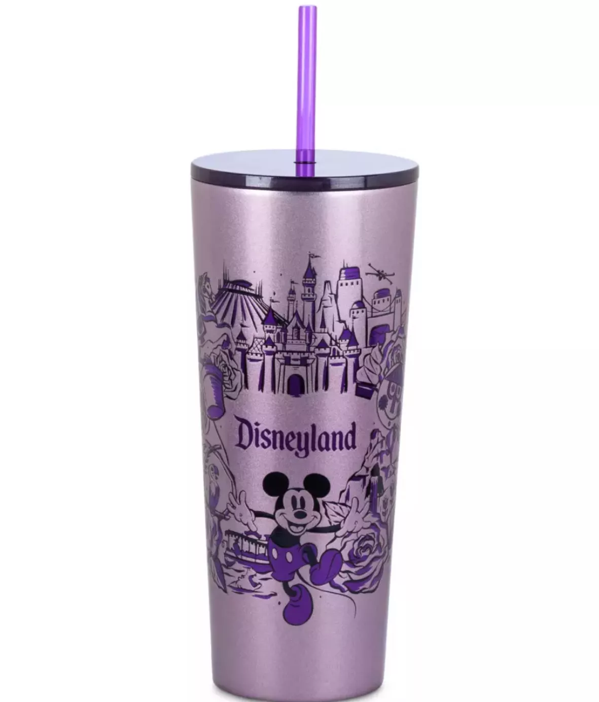 Disneyland Stainless Steel … curated on LTK