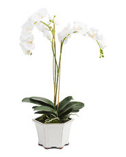 31in Barclay Butera Phalaenopsis In Ceramic Pot | TJ Maxx