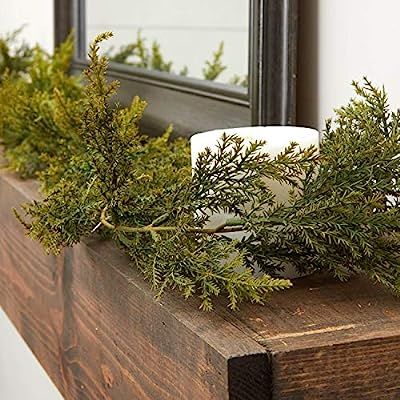 Factory Direct Craft 72" Realistic Artificial Vinyl Cedar Pine Green Garland for Holiday Home Dec... | Amazon (US)