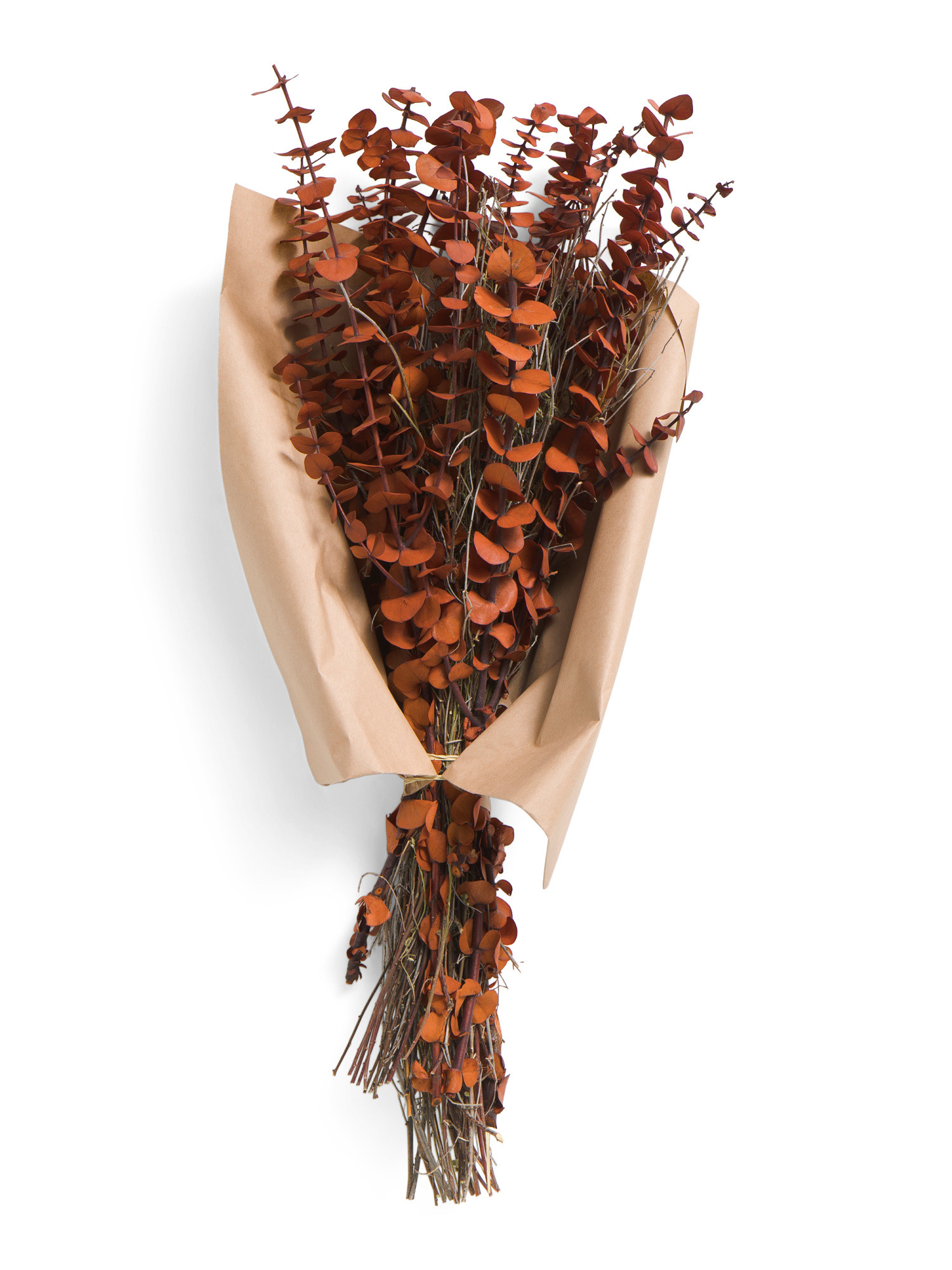 24in Real Preserved Eucalyptus Bouquet | TJ Maxx
