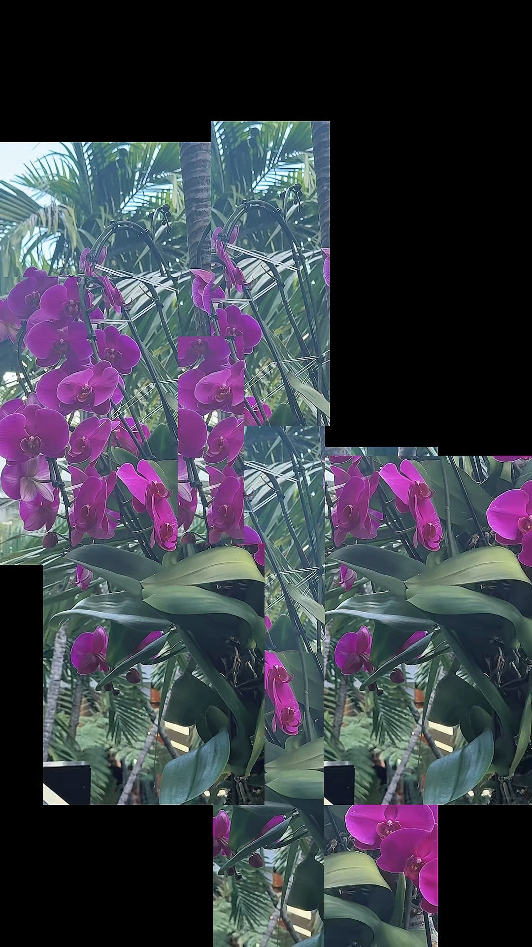 Beekeeper’s Naturals Throat Soother + Immune Support ✨ two wellness staples to keep on hand for travel days, seasonal changes, busy weeks, and everyday support. The Throat Soother is perfect when you want soothing comfort on the go, while Immune Support is an easy daily essential for your routine. Clean wellness favorites that are simple to keep in your bag, carry-on, or nightstand. Also linking chic cosmetic bags and organizers to keep all your wellness essentials together.

Nirvana the Shih Tzu 💋 Nirvana Approved

#LTKdayinmylife #LTKBeauty #LTKselfcare