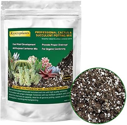 Organic Succulents & Cactus Soil Mix, Professional Potting Soil, Fast Draining Pre-Mixed Blend, S... | Amazon (US)