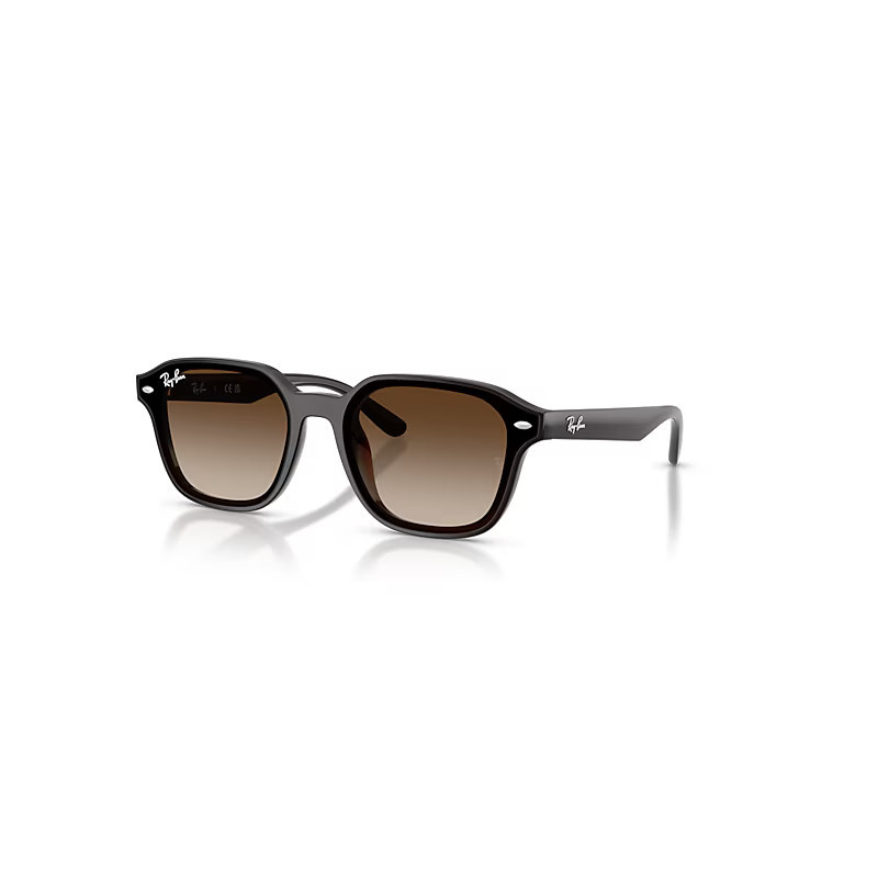 Ray-Ban Sunglasses Unisex Rb4458d - Transparent Dark Brown Frame Brown Lenses 65-18 | Ray-Ban (EU)