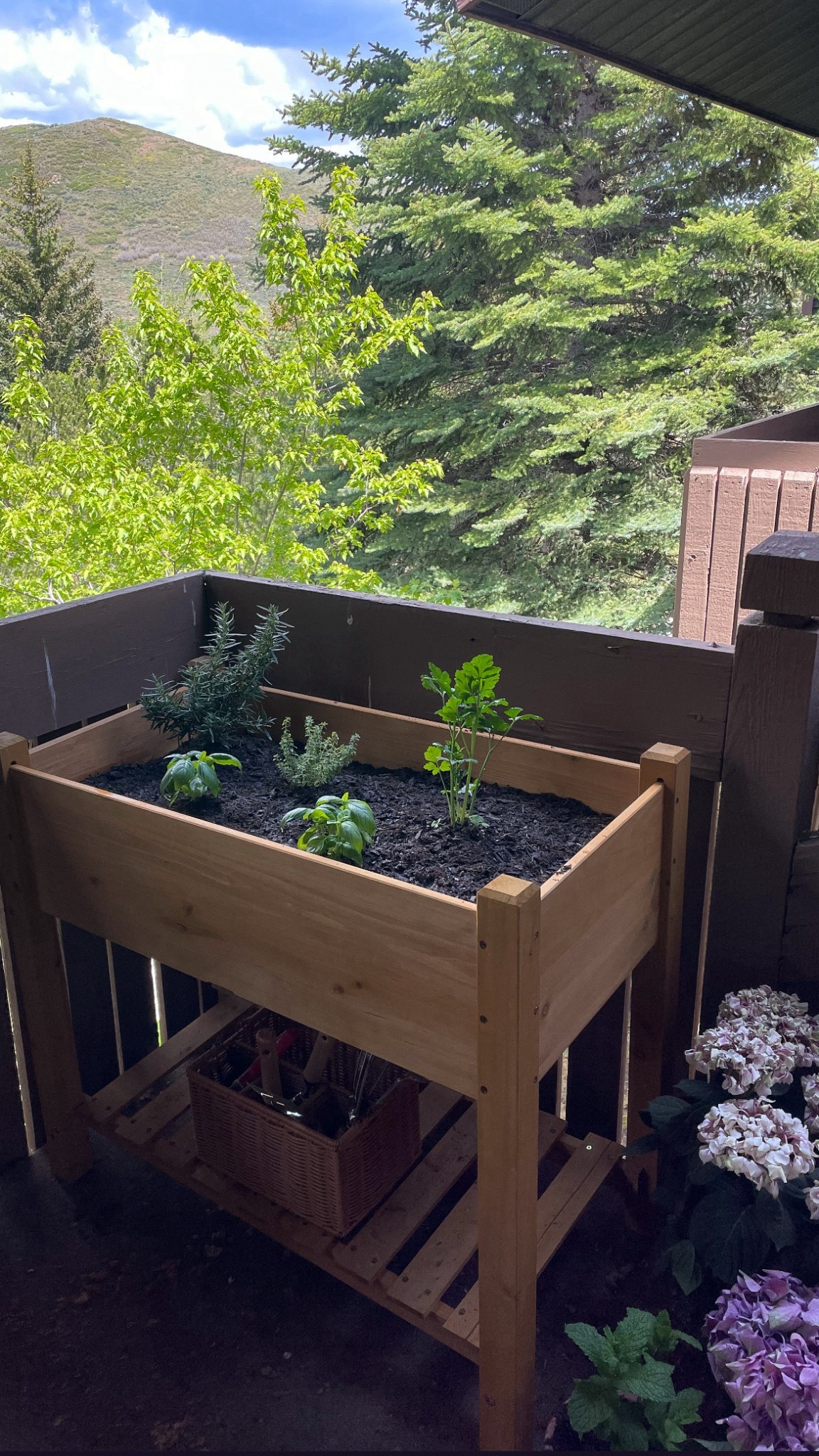 My raised garden bed! Linked for everything here. I got all of my herbs, plants & seeds at Whole Foodss

#LTKSeasonal #LTKHome