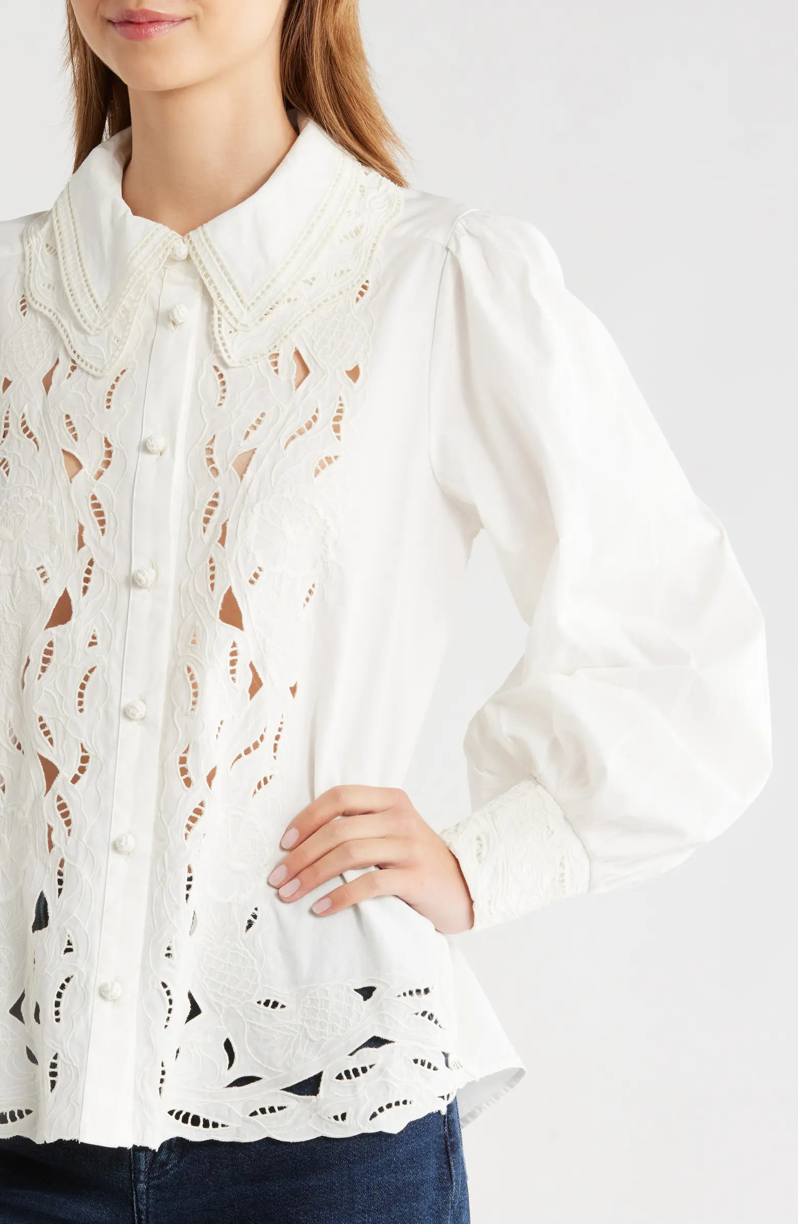 Embroidered Eyelet Puff Sleeve Button-Up Shirt | Nordstrom