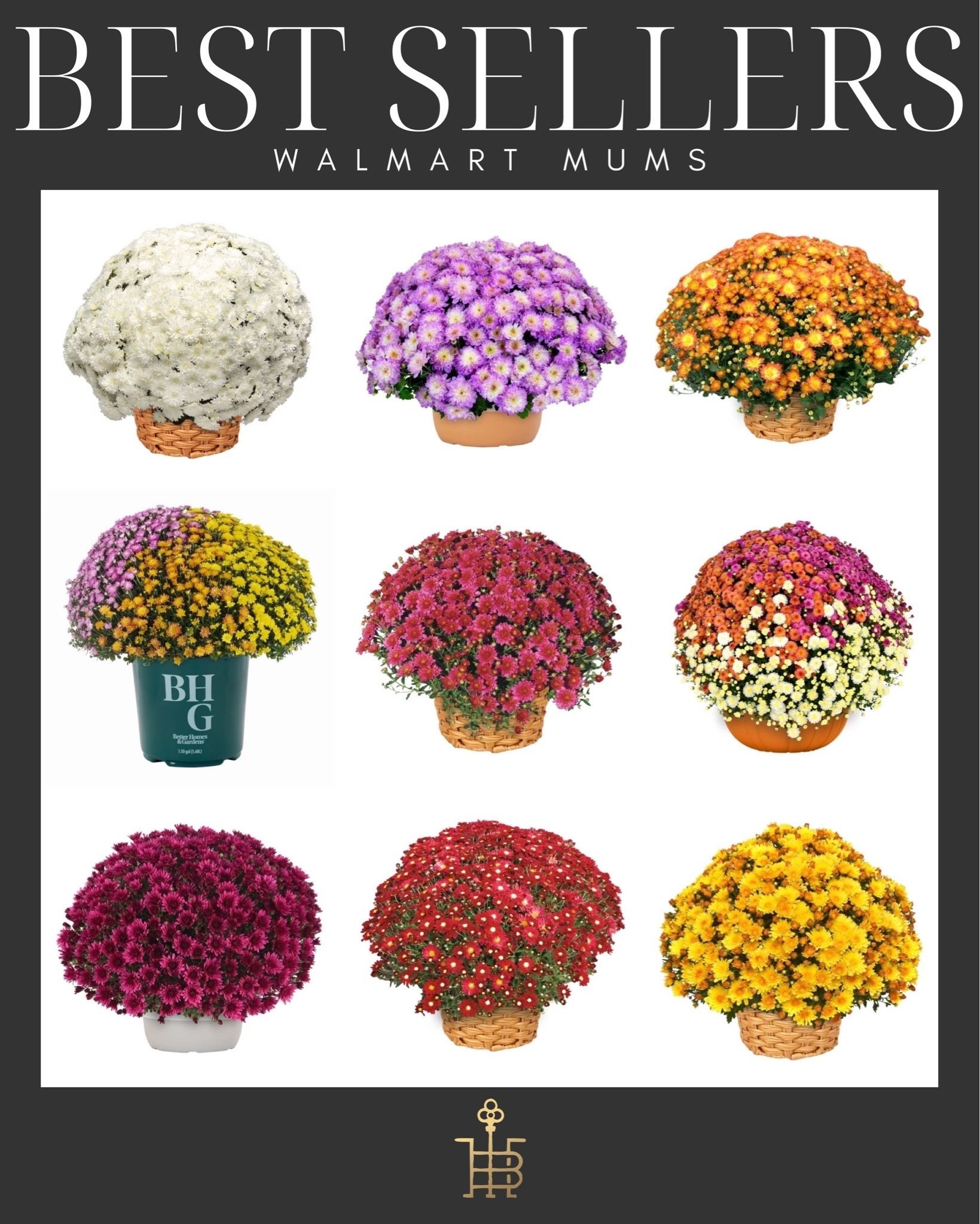These Walmart mums are a best seller every year!!!

#LTKSeasonal #LTKHome