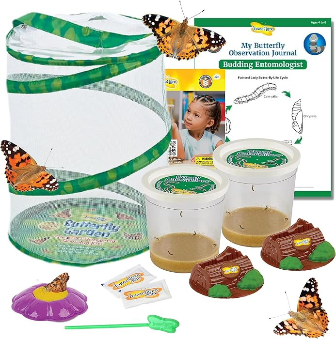 Insect Lore Butterfly Garden Kit – 10 Live Caterpillars, Habitat, STEM Journal, 2 Chrys-a-lid H... | Amazon (US)