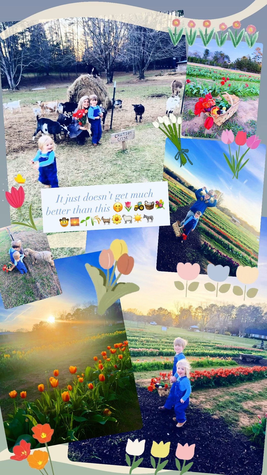 It just doesn’t get much better than this 🤭🌷🚜🧺💐🤠🌅🌱🌾🐐🌼🐑☀️🫏