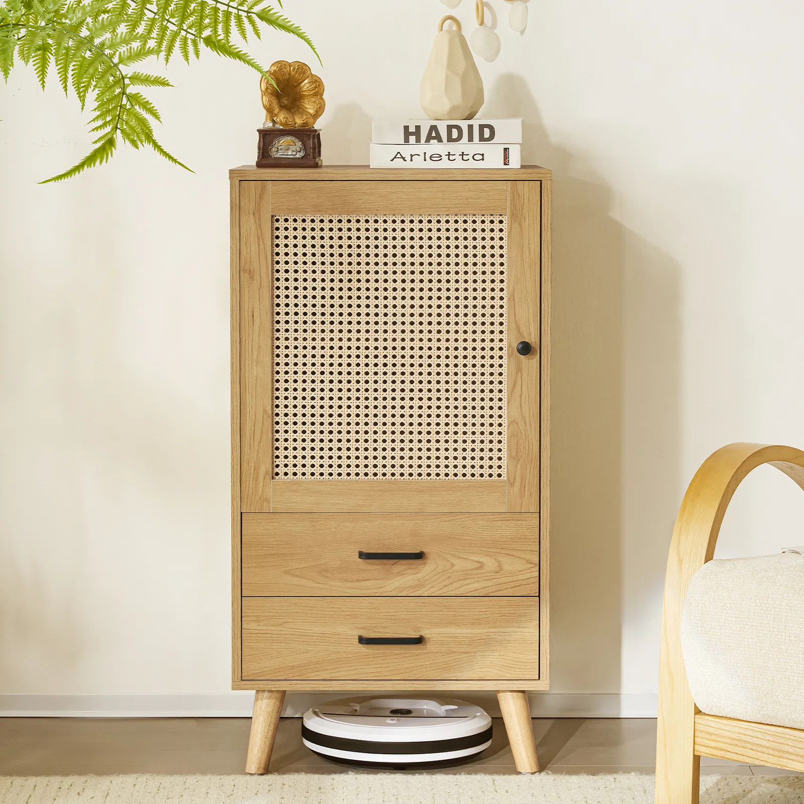 Rattan 1-Door Cabinet | Wayfair North America