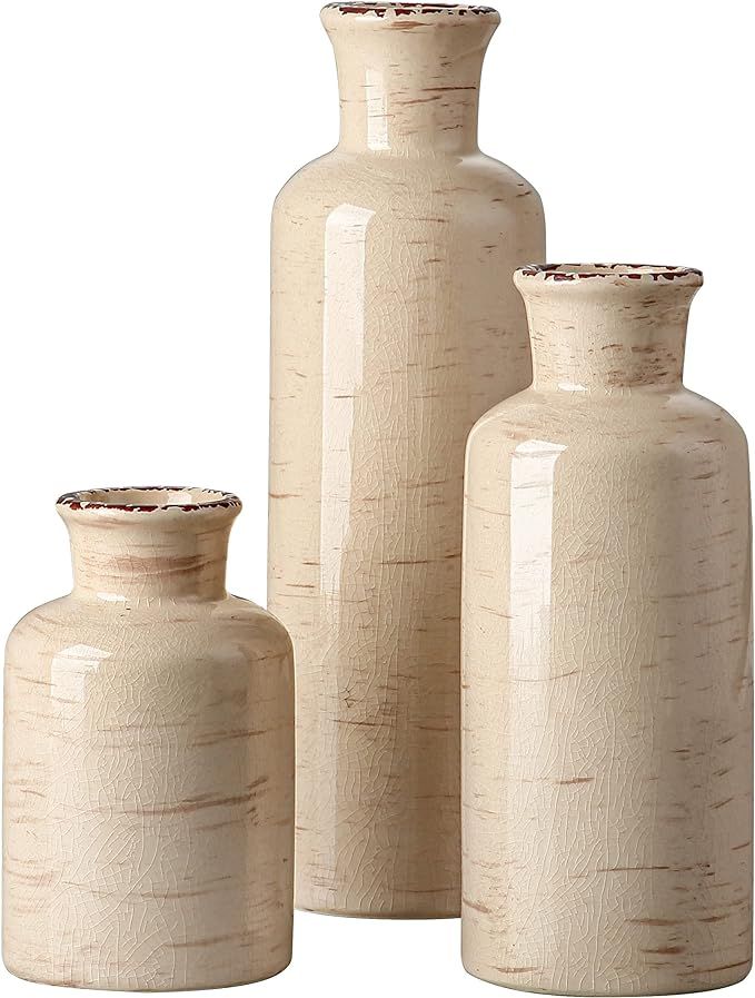 CwlwGO- Ceramic Rustic vase 3 Piece Set,Small vase for Country Home Decoration,Modern Farmhouse,L... | Amazon (US)