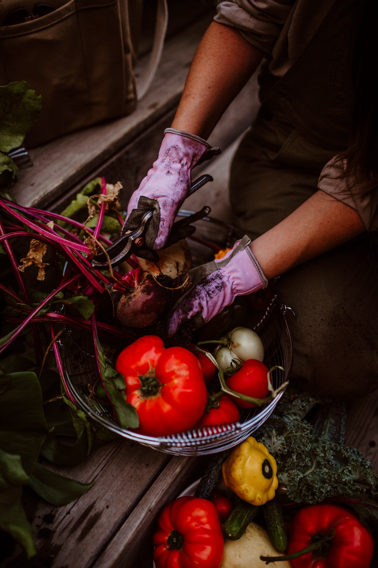 Harvest day before the frost 🍅🌿

Out in the garden gathering the last of the tomatoes before the first cold night hits. There’s something so satisfying about that final harvest.  

I’m wearing my favorite pink gardening gloves — durable, flexible, and cute enough to make even end-of-season cleanup feel a little brighter. Good gloves make all the difference when pruning, harvesting, and handling plants.

🌸 Gardening essentials: breathable gloves, sturdy tools, harvest baskets
🍅 Seasonal gardening: tomato picking, fall cleanup, frost prep
💗 Style notes: pink gloves, casual workwear, cozy fall layers

#LTKSeasonal