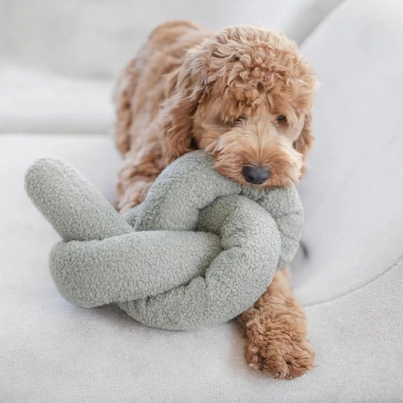 Oversized Plush Squeaky Dog Play Object - Etsy | Etsy (US)