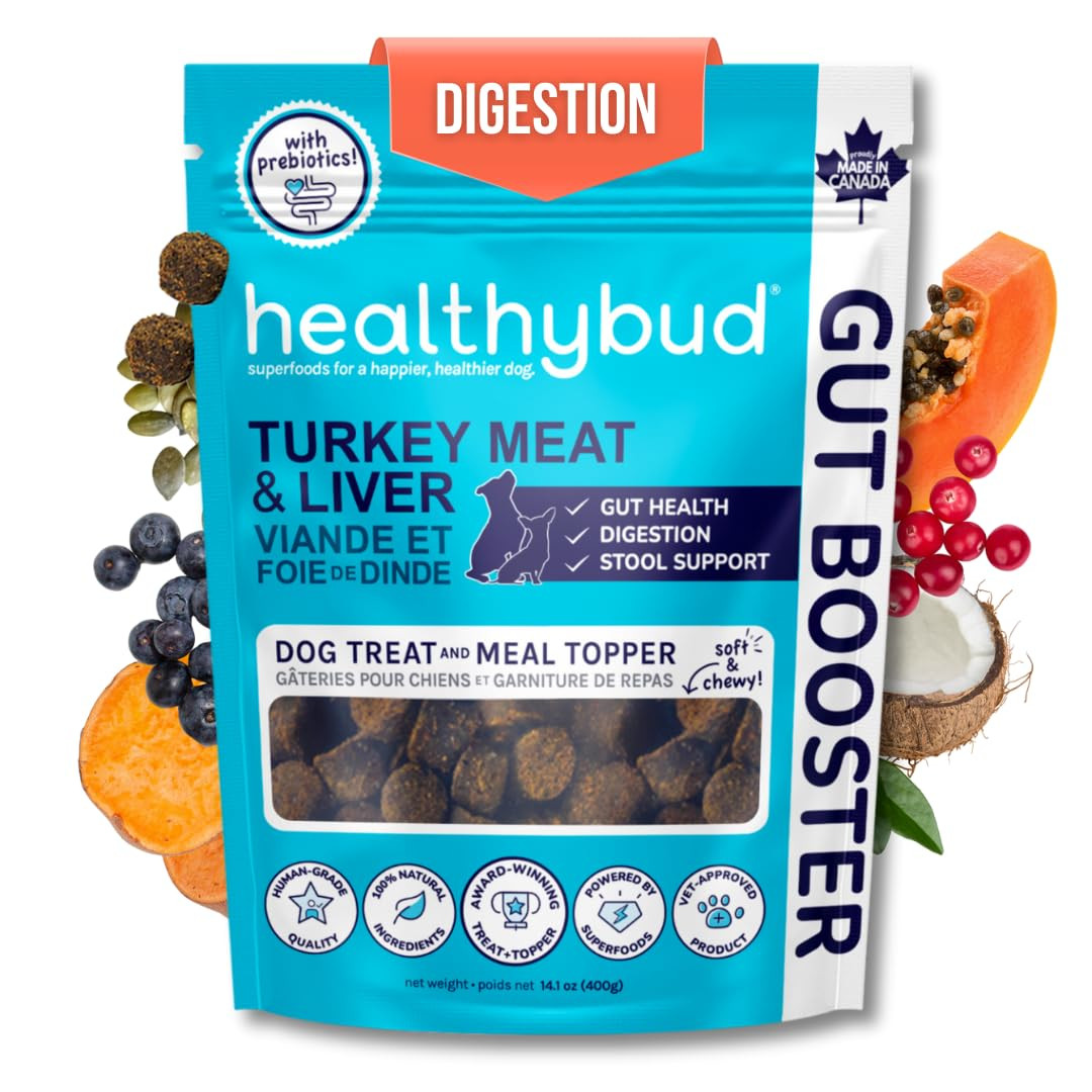 Healthybud Dog Probiotic Chews – Digestive & Gut Health Support – Prebiotic, Fiber, Pumpkin &... | Amazon (US)