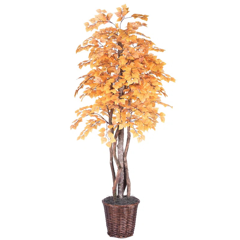 72'' Faux Aspen Tree in Rattan Basket | Wayfair North America