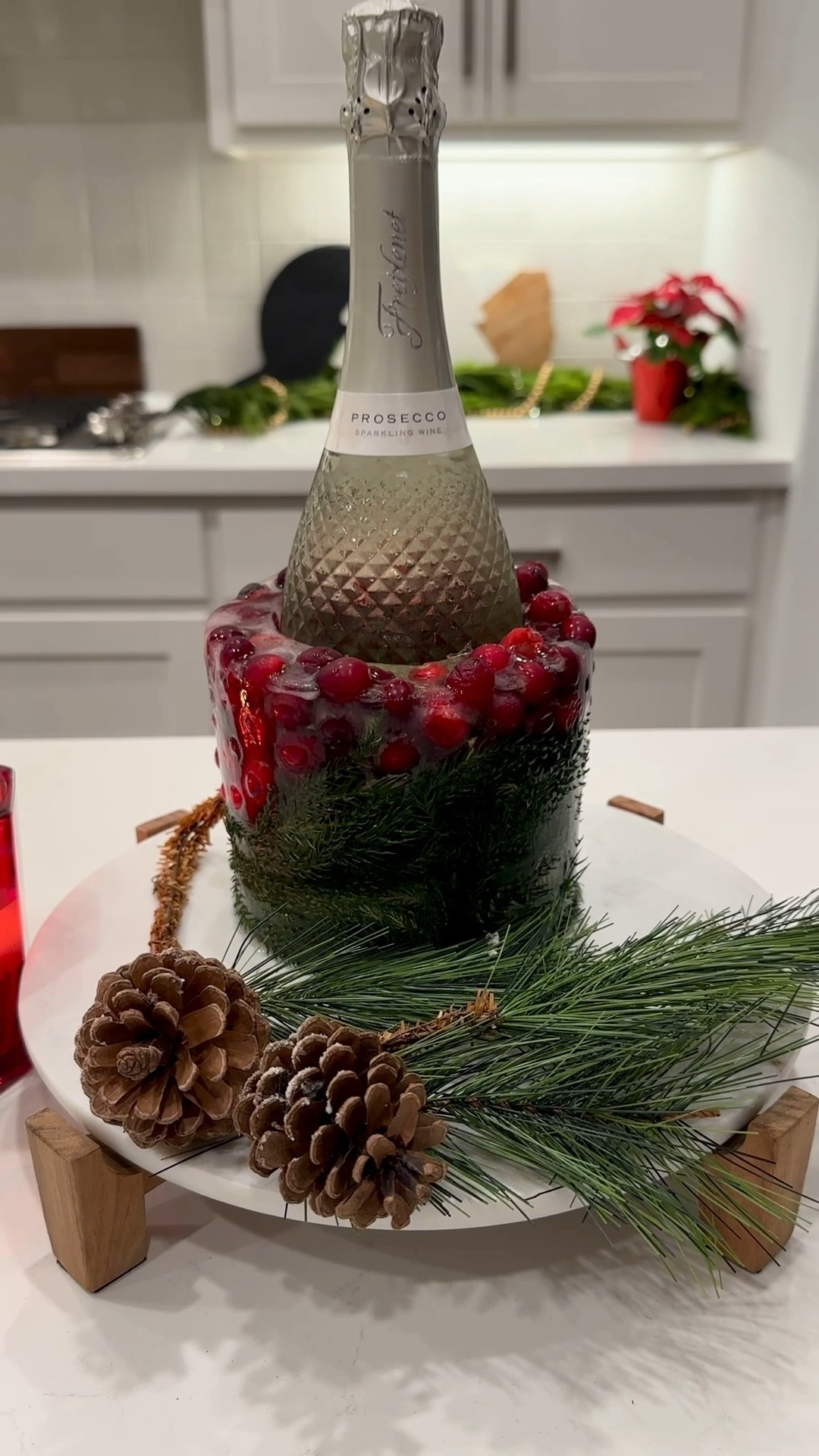 Make a festive ice mold for your holiday entertaining! 



#LTKHome #LTKHoliday #LTKSeasonal