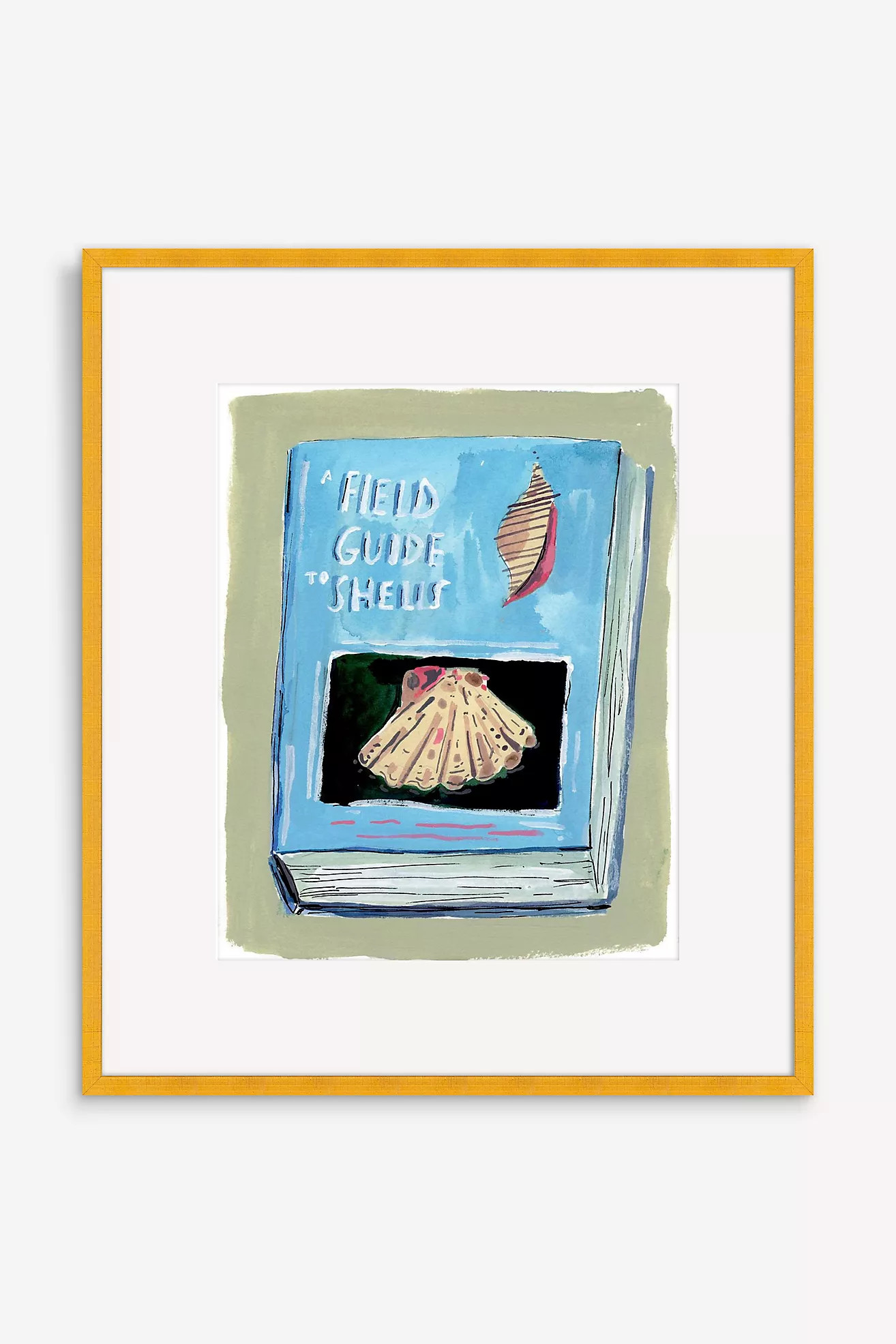 A Field Guide to Shells Book Wall Art | Anthropologie (US)