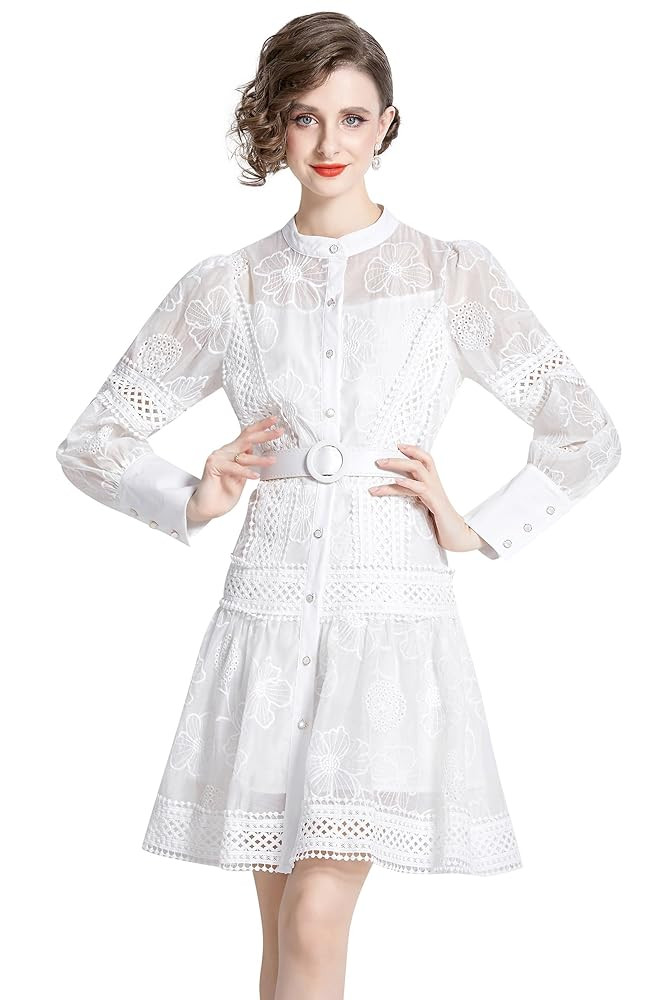 LAI MENG FIVE CATS Women's Long Sleeve Round Neck Floral Lace Casual Button Up Mini Dress with Be... | Amazon (US)