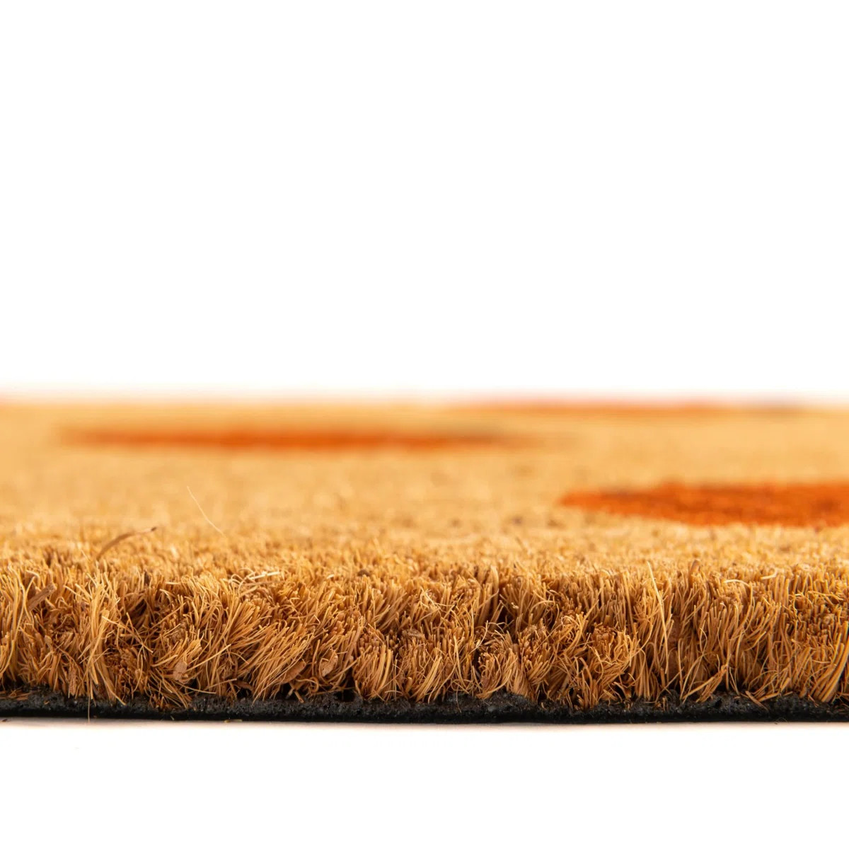 Adamsdale Non-Slip Doormat | Wayfair North America