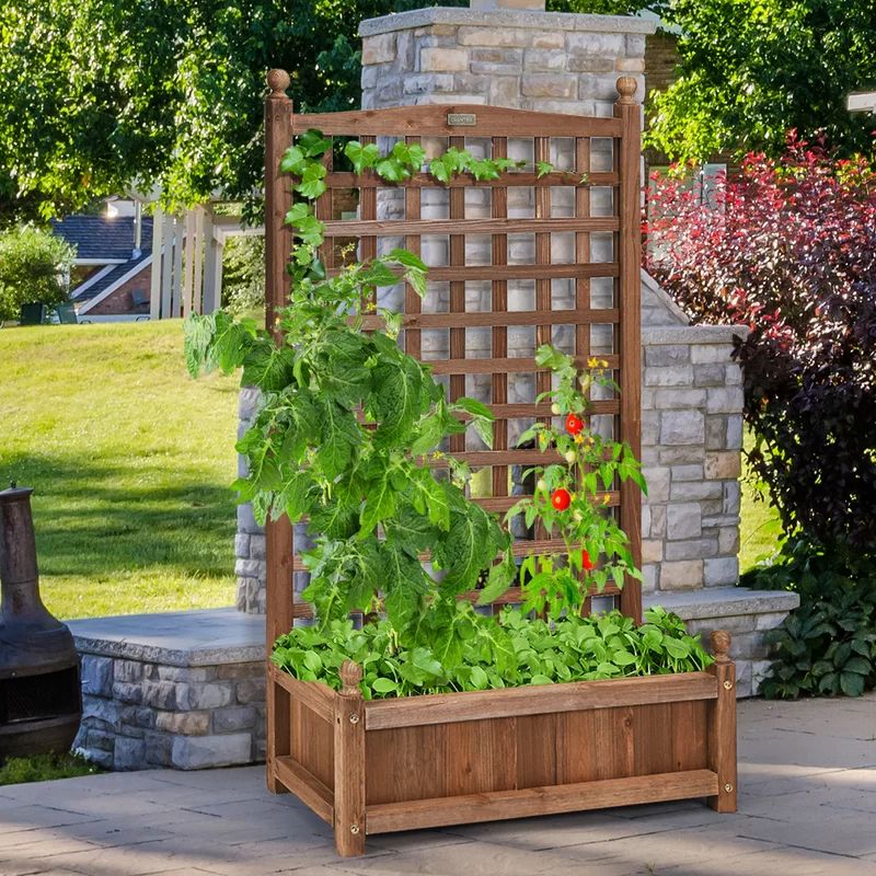 Solid Wood Planter Box with Trellis | Wayfair North America