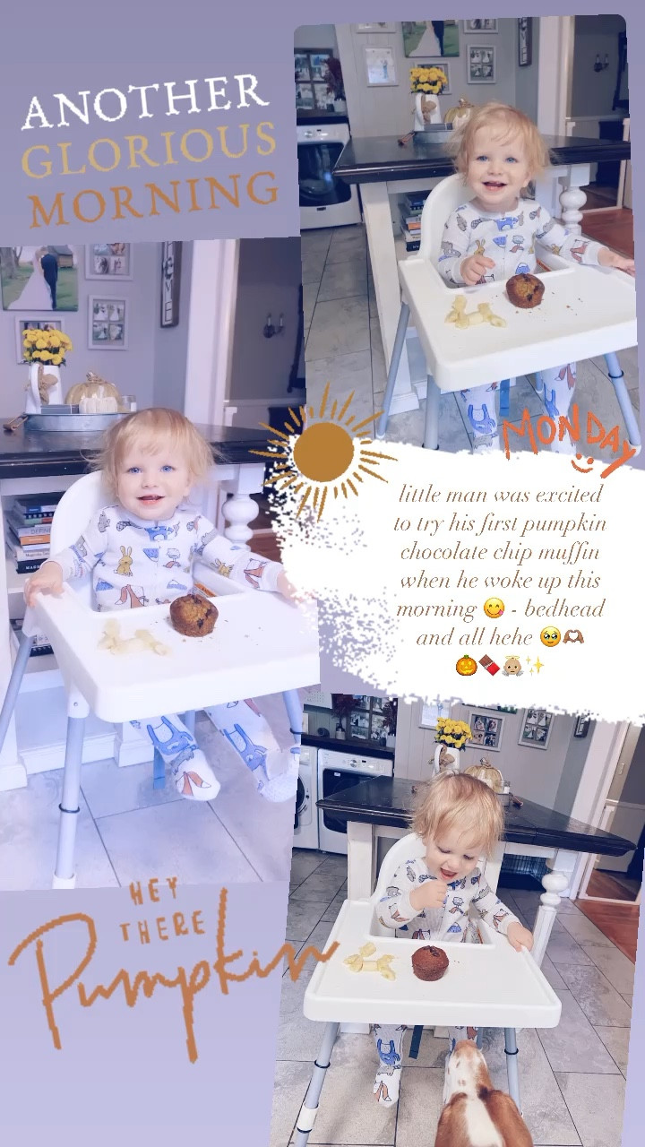 little man was excited to try his first pumpkin chocolate chip muffin when he woke up this morning 😋 - bedhead and all hehe 🥹🫶🏽
🎃🍫👼🏼✨

#LTKbaby #LTKfamily #LTKhome