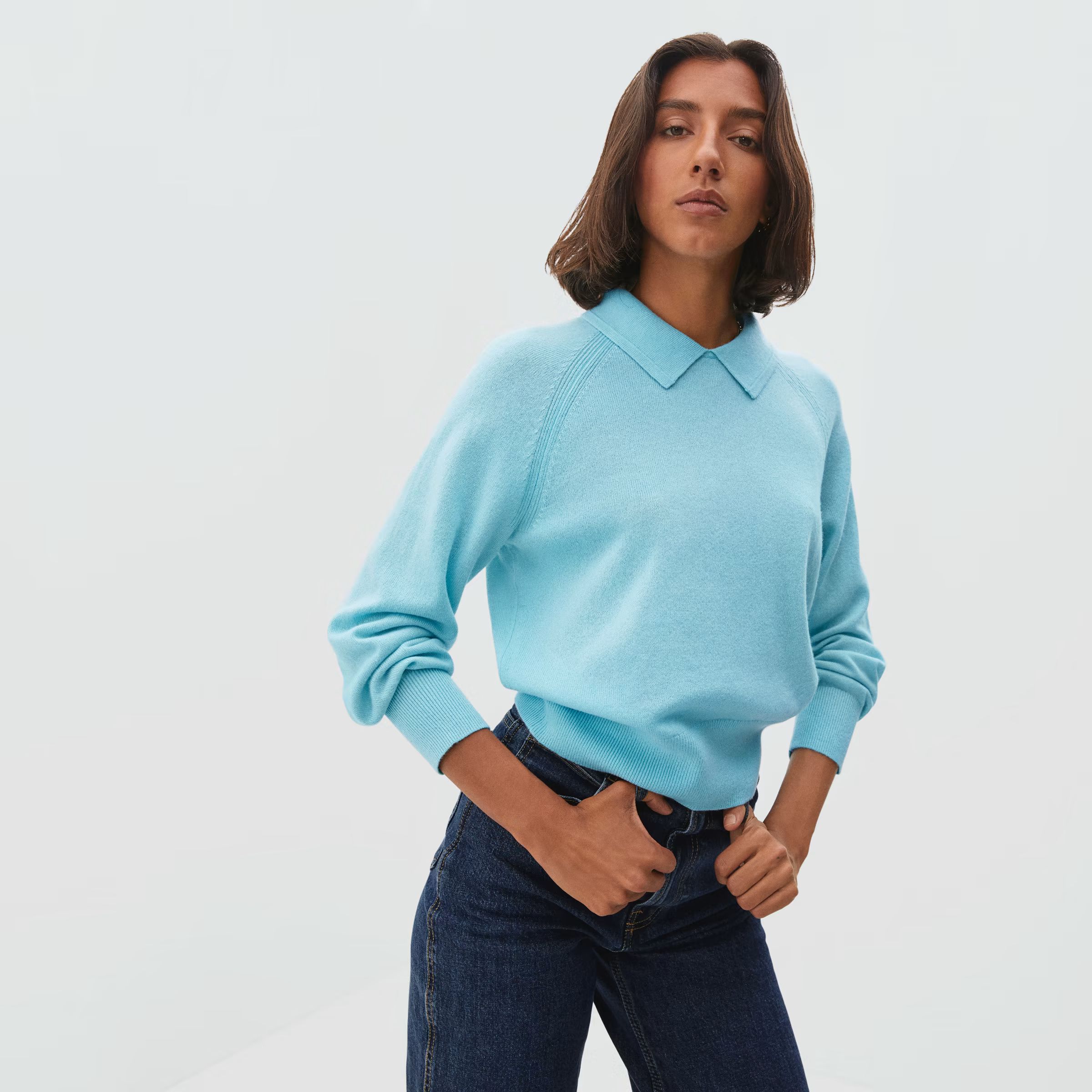 The Cashmere Collared Sweater | Everlane