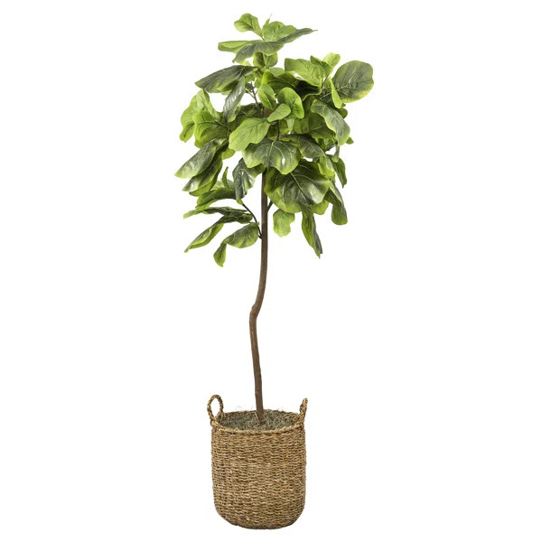 60'' Faux Fiddle Leaf Fig Tree in Rattan Basket | Wayfair North America