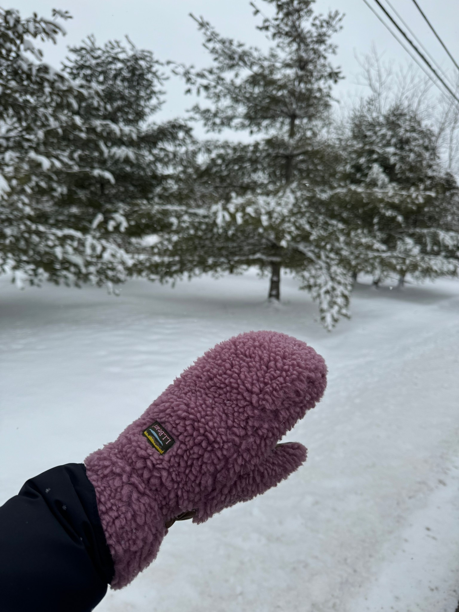 fav mittens!! i got a size L