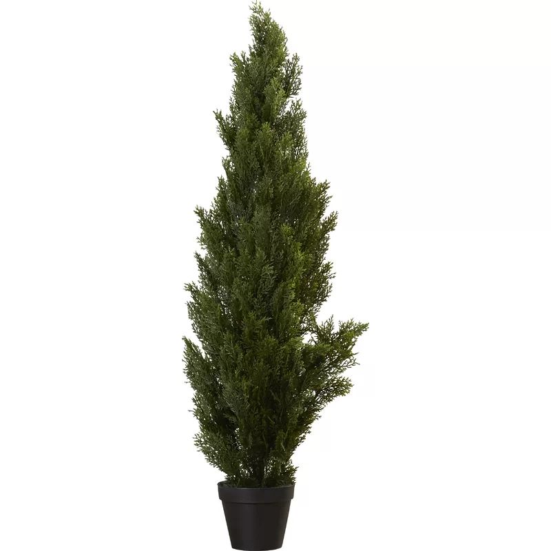 Artificial Cedar Tree in PotSee More by Loon Peak®Rated 4.6 out of 5 stars.4.6123 Reviews$147.99... | Wayfair Professional