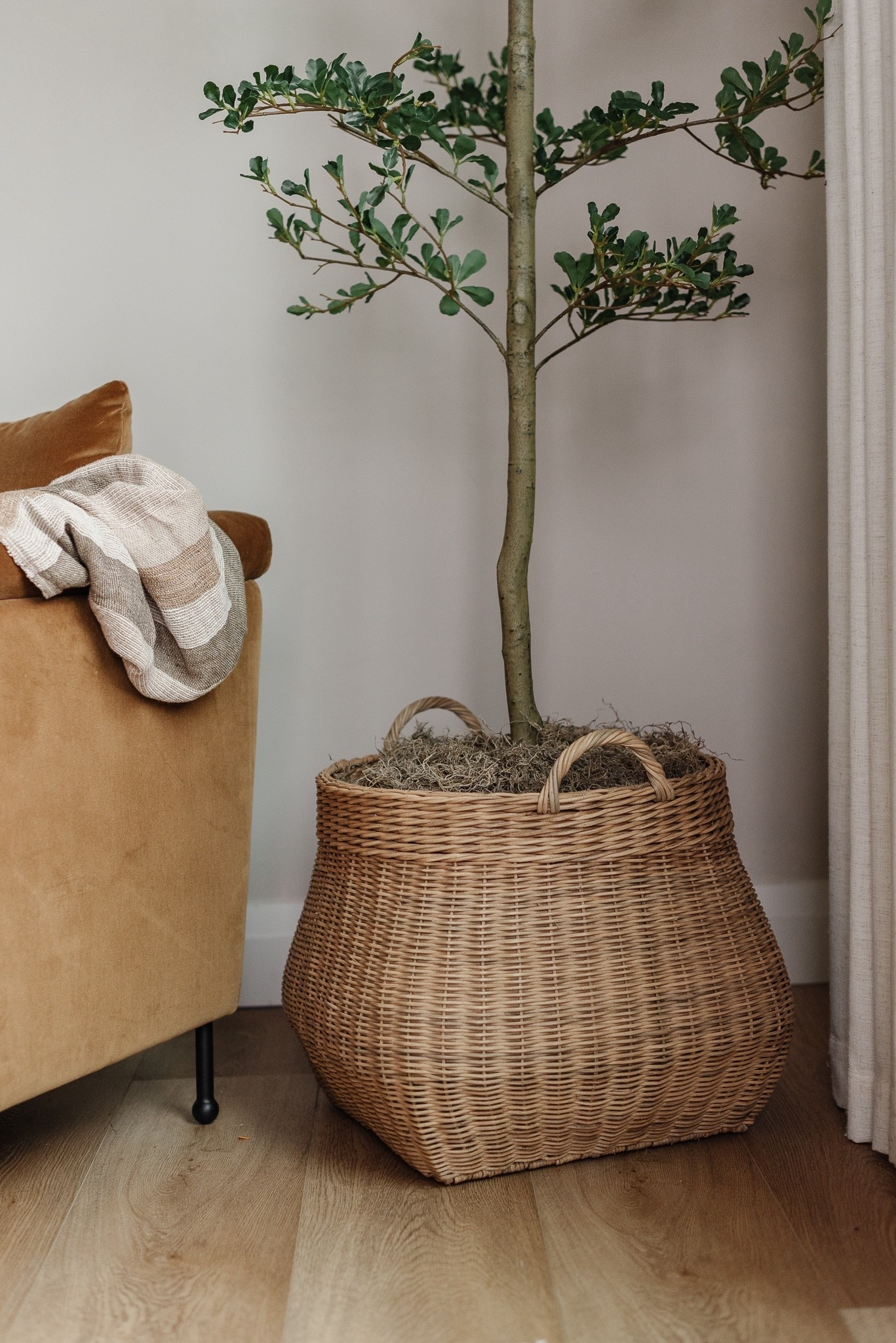 Loving this oversized basket! Perfect size for a faux tree. 

McGee and co, studio McGee, spring decor, home decor, shady lady, arm chair, accent chair, bedroom decor, home decor, cozy, faux, artificial, olive tree 

#LTKSeasonal #LTKHome #LTKSaleAlert