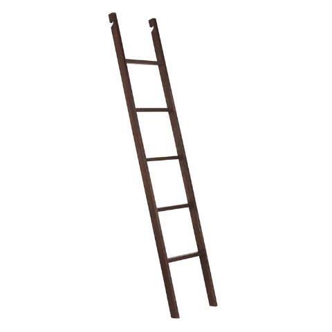 Roasted Cocoa Wood Augustus Bookshelf Ladder | World Market