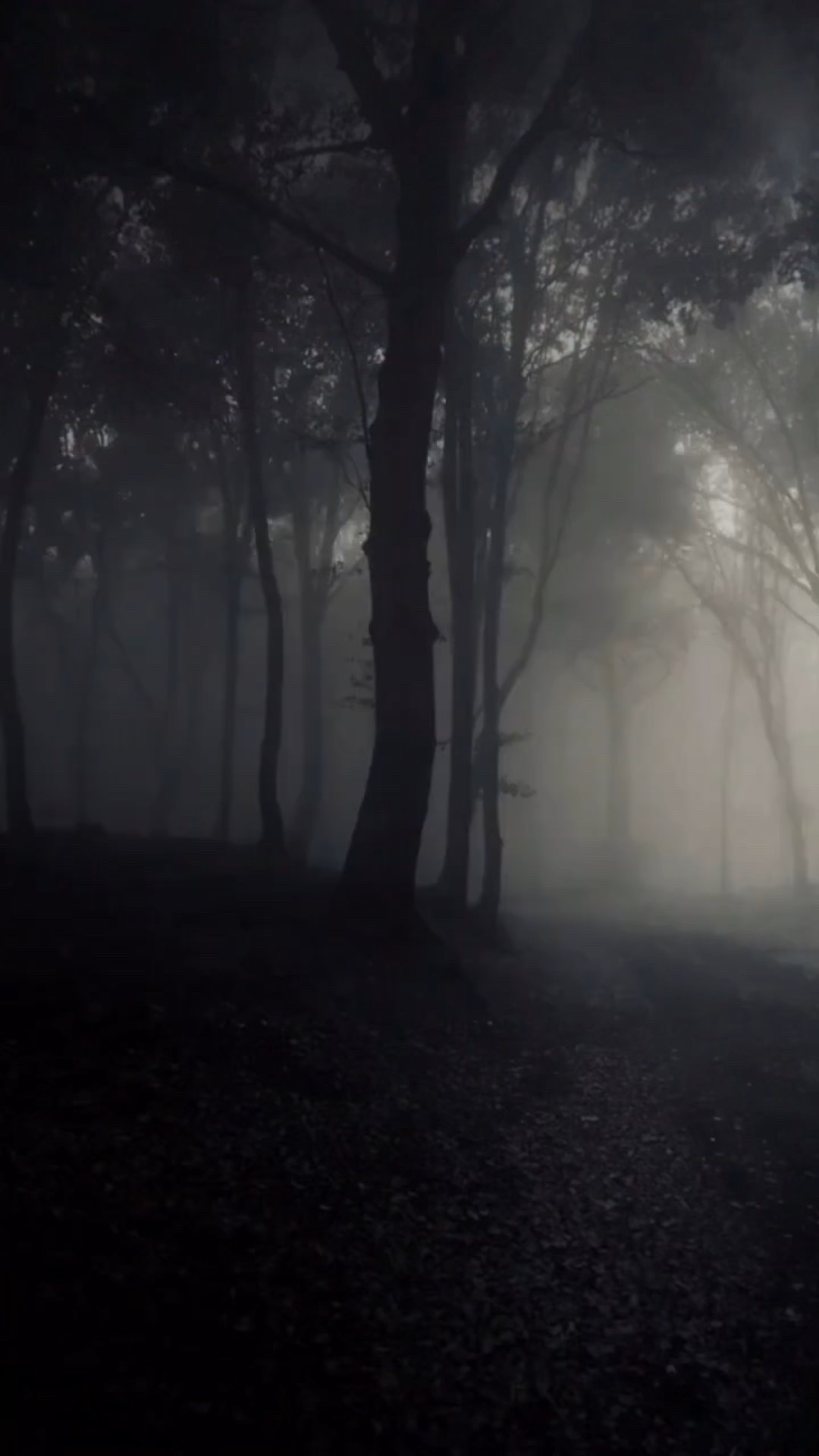 🖤2025 THRILLER COUNTDOWN!🖤

If you know me you know I just can’t choose a top 10 so here are my top 1️⃣3️⃣ thrillers I read in 2025! It was really difficult to rank and I changed my mind probably 56 times BUT this is what we are working with as my fina consensus❗️

13. So Happy Together by Olivia Worley
12. Cross My Heart by Megan Collins 
11. A Killing Cold by Kate Alice Marshall
10. The Dead Husband Cookbook by Danielle Valentine
9. The Butcher by Jennifer Hillier
8. Don’t Tell Me How to Die by Marshall Karp
7. The Business Trip by Jessie Garcia 
6. Too Old For This by Samantha Downing 
5. Night Watching by Daphne Woolsoncroft
4. The Crucifix Killer by Chris Carter
3. Guess Again by Charlie Donlea
2. Tell Me What You Did by Carter Wilson 
1. It’s Not Her by @marykubica 

QOTD: tell me your top thriller of 2025 if you don’t read thrillers tell me a book I absolutely NEED to add to my 2026 tbr

@atriabooks @htp_hive @sourcebooksfire @simonandschuster @flatiron_books @gallerybooks @minotaur_books @poisonedpenpress @kensingtonbooks @grandcentralpub @stmartinspress @berkleypub 

Thriller countdown • reading wrap up • 2025 books • thriller book recommendations • thrillers • thriller books • popular books • tbr • book reviews