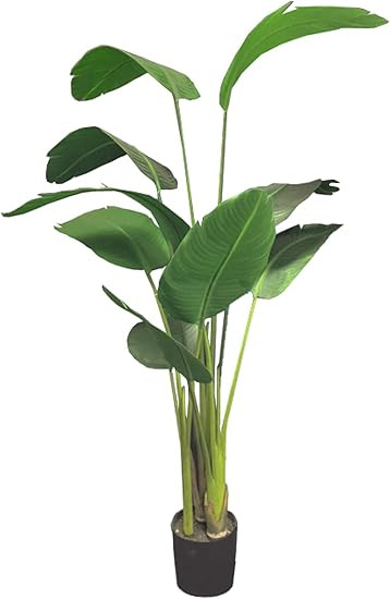 AMERIQUE Unique and Gorgeous 5' Bird of Paradise Artificial Tree Plant Real Touch Technology, wit... | Amazon (US)