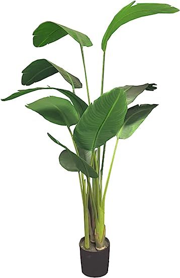 AMERIQUE Unique and Gorgeous 5' Bird of Paradise Artificial Tree Plant Real Touch Technology, wit... | Amazon (US)