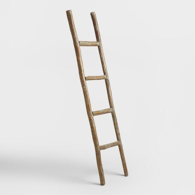 Natural Eucalyptus Ladder Decor | World Market